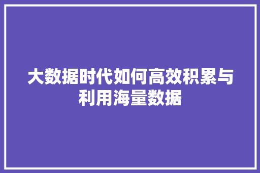 大数据时代如何高效积累与利用海量数据