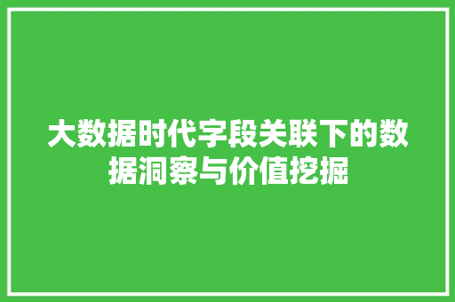 大数据时代字段关联下的数据洞察与价值挖掘