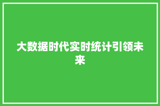 大数据时代实时统计引领未来 SEO教程