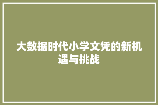 大数据时代小学文凭的新机遇与挑战