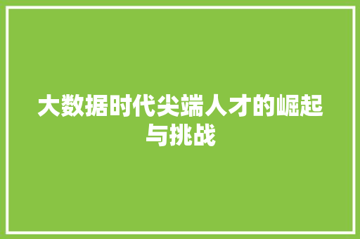 大数据时代尖端人才的崛起与挑战