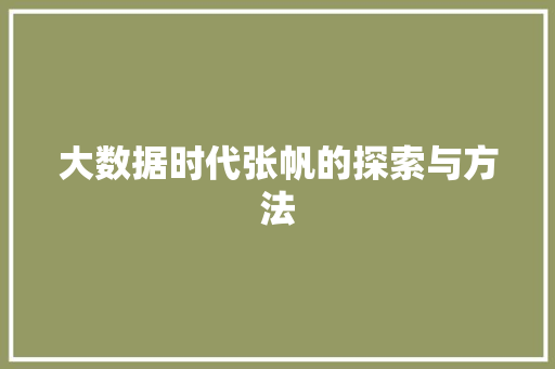 大数据时代张帆的探索与方法