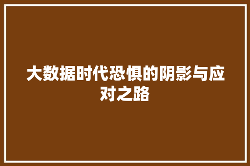 大数据时代恐惧的阴影与应对之路