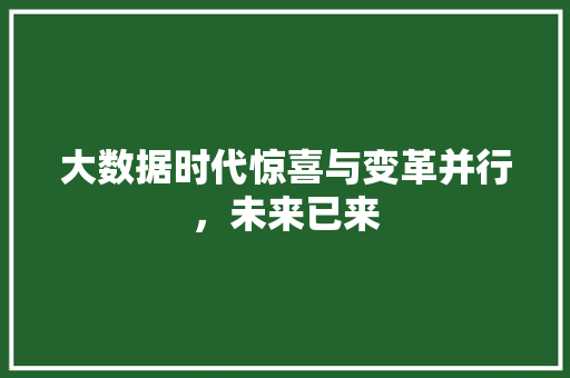 大数据时代惊喜与变革并行，未来已来