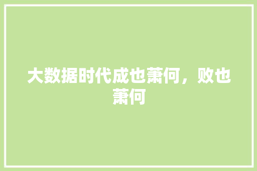 大数据时代成也萧何，败也萧何