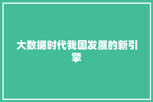 大数据时代我国发展的新引擎