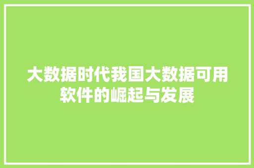 大数据时代我国大数据可用软件的崛起与发展