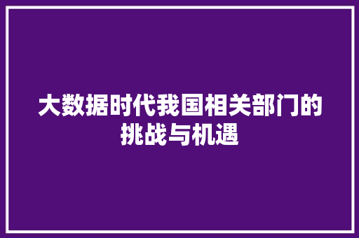 大数据时代我国相关部门的挑战与机遇