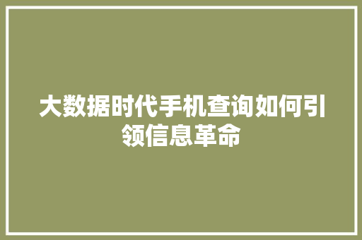 大数据时代手机查询如何引领信息革命