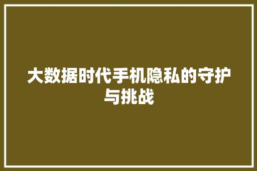 大数据时代手机隐私的守护与挑战 大数据时代手机隐私的守护与挑战