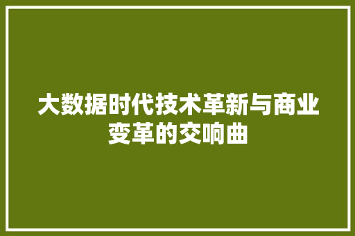 大数据时代技术革新与商业变革的交响曲 大数据时代技术革新与商业变革的交响曲