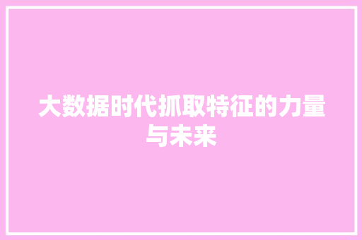 大数据时代抓取特征的力量与未来