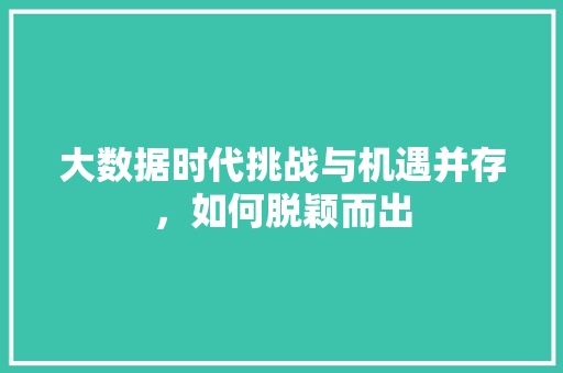 大数据时代挑战与机遇并存，如何脱颖而出
