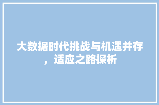 大数据时代挑战与机遇并存，适应之路探析