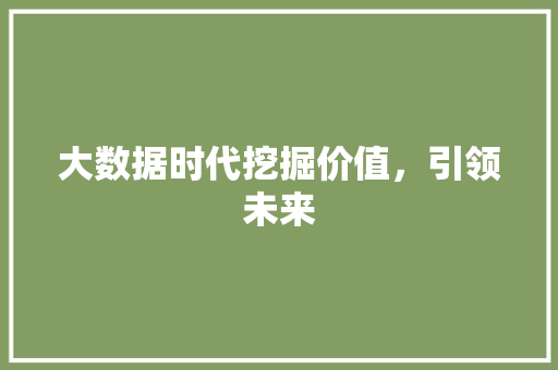 大数据时代挖掘价值，引领未来