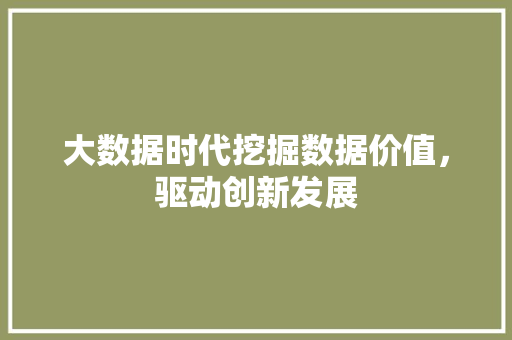 大数据时代挖掘数据价值，驱动创新发展