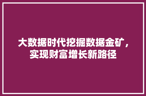 大数据时代挖掘数据金矿，实现财富增长新路径