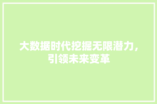 大数据时代挖掘无限潜力，引领未来变革