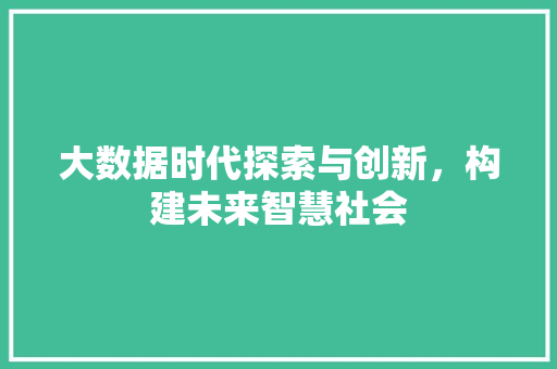 大数据时代探索与创新，构建未来智慧社会