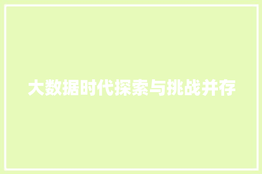 大数据时代探索与挑战并存