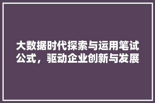 大数据时代探索与运用笔试公式，驱动企业创新与发展