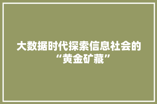 大数据时代探索信息社会的“黄金矿藏”
