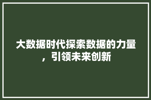 大数据时代探索数据的力量，引领未来创新