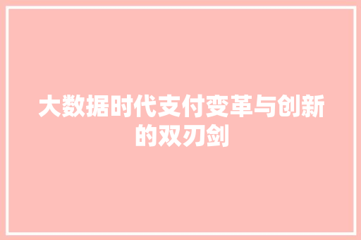 大数据时代支付变革与创新的双刃剑
