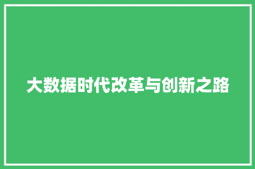 大数据时代改革与创新之路