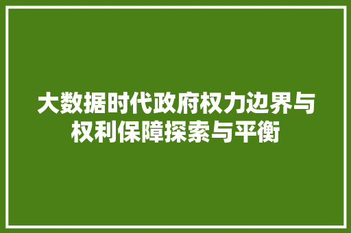 大数据时代政府权力边界与权利保障探索与平衡