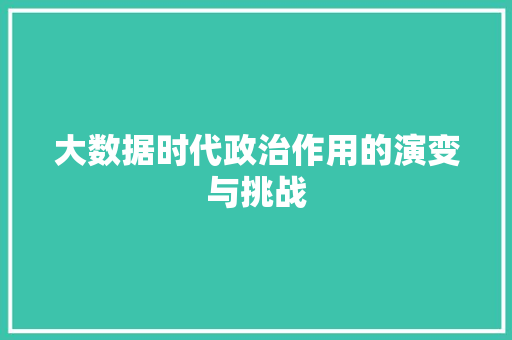 大数据时代政治作用的演变与挑战