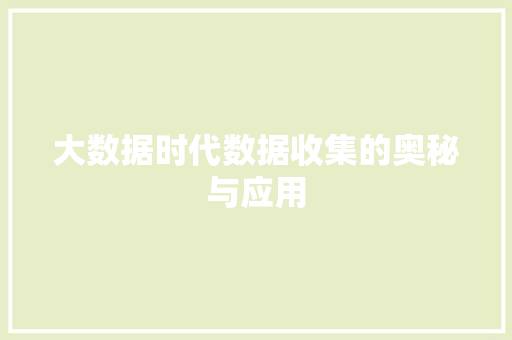 大数据时代数据收集的奥秘与应用