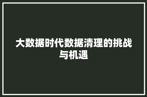 大数据时代数据清理的挑战与机遇