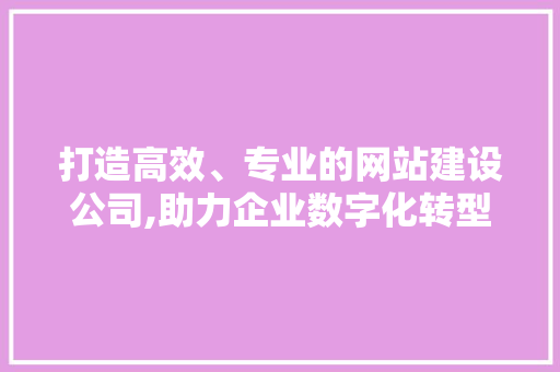 打造高效、专业的网站建设公司,助力企业数字化转型