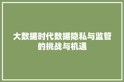 大数据时代数据隐私与监管的挑战与机遇