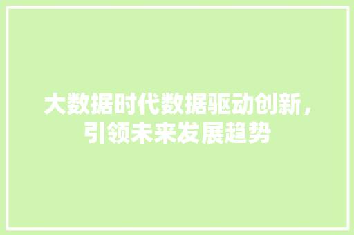 大数据时代数据驱动创新，引领未来发展趋势