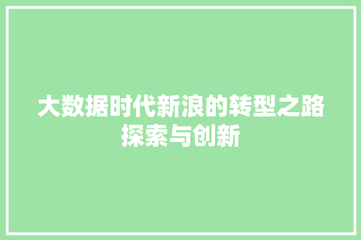 大数据时代新浪的转型之路探索与创新