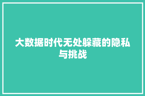 大数据时代无处躲藏的隐私与挑战