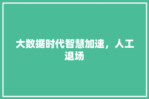 大数据时代智慧加速，人工退场