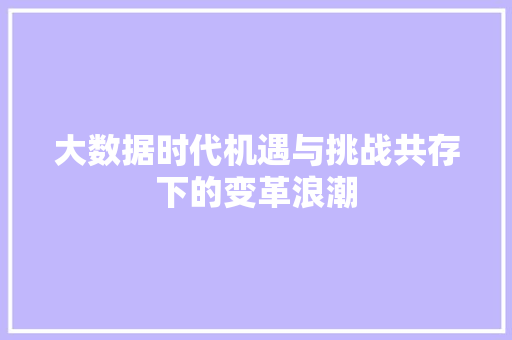大数据时代机遇与挑战共存下的变革浪潮