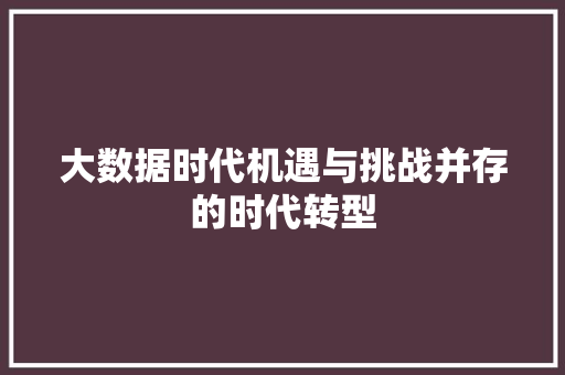 大数据时代机遇与挑战并存的时代转型