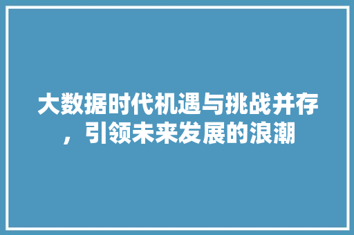 大数据时代机遇与挑战并存，引领未来发展的浪潮