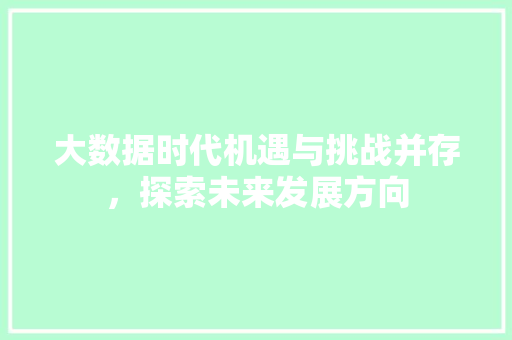 大数据时代机遇与挑战并存，探索未来发展方向