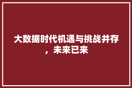大数据时代机遇与挑战并存，未来已来