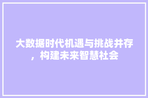 大数据时代机遇与挑战并存，构建未来智慧社会