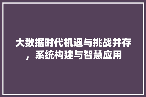 大数据时代机遇与挑战并存，系统构建与智慧应用