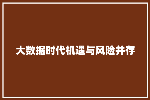 大数据时代机遇与风险并存
