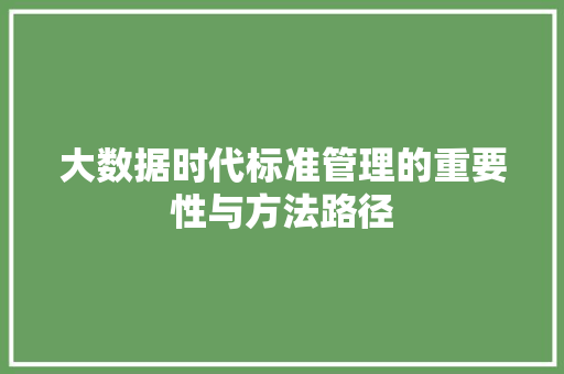 大数据时代标准管理的重要性与方法路径 SEO教程