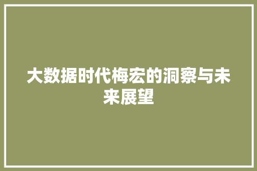 大数据时代梅宏的洞察与未来展望 SEO教程
