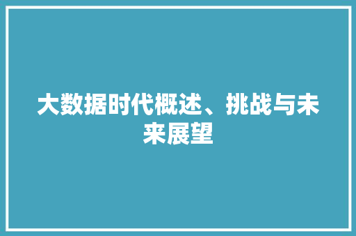 大数据时代概述、挑战与未来展望